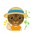新⭐︎顔デカ猫トラちゃん（個別スタンプ：11）