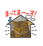 新⭐︎顔デカ猫トラちゃん（個別スタンプ：20）