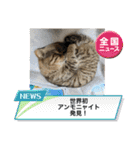 新⭐︎顔デカ猫トラちゃん（個別スタンプ：32）