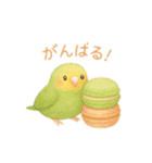 スイーツとインコたち❤️（個別スタンプ：16）