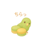 スイーツとインコたち❤️（個別スタンプ：25）