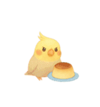 スイーツとインコたち❤️（個別スタンプ：36）