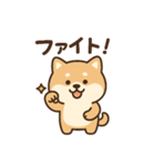 ほんわかいぬ（個別スタンプ：5）