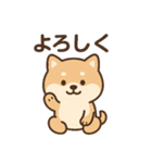 ほんわかいぬ（個別スタンプ：7）
