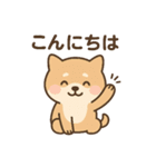 ほんわかいぬ（個別スタンプ：10）