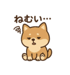 ほんわかいぬ（個別スタンプ：12）