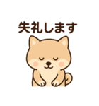 ほんわかいぬ（個別スタンプ：18）