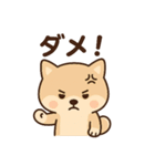 ほんわかいぬ（個別スタンプ：19）