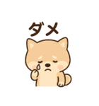 ほんわかいぬ（個別スタンプ：20）