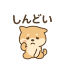 ほんわかいぬ（個別スタンプ：23）