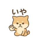 ほんわかいぬ（個別スタンプ：24）