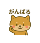 ほんわかいぬ（個別スタンプ：31）