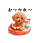 浮き輪でぷかぷかトイプードル（個別スタンプ：5）