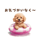 浮き輪でぷかぷかトイプードル（個別スタンプ：11）