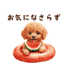 浮き輪でぷかぷかトイプードル（個別スタンプ：12）
