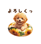 浮き輪でぷかぷかトイプードル（個別スタンプ：13）