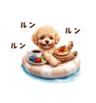 浮き輪でぷかぷかトイプードル（個別スタンプ：23）