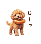 浮き輪でぷかぷかトイプードル（個別スタンプ：24）