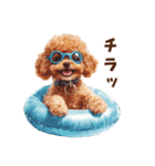 浮き輪でぷかぷかトイプードル（個別スタンプ：25）
