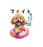 浮き輪でぷかぷかトイプードル（個別スタンプ：28）