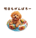 浮き輪でぷかぷかトイプードル（個別スタンプ：29）