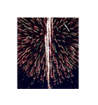 背景に花火が打ち上がる✨納涼花火セット2（個別スタンプ：3）