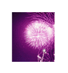 背景に花火が打ち上がる✨納涼花火セット2（個別スタンプ：4）