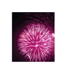 背景に花火が打ち上がる✨納涼花火セット2（個別スタンプ：5）