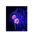背景に花火が打ち上がる✨納涼花火セット2（個別スタンプ：6）