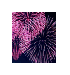 背景に花火が打ち上がる✨納涼花火セット2（個別スタンプ：23）
