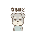 ノーリアクシュナの無表情リアクション集（個別スタンプ：3）