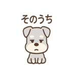 ノーリアクシュナの無表情リアクション集（個別スタンプ：19）