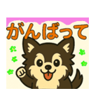 チッチと一緒に（個別スタンプ：9）