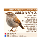 架空鳥空の生き物図鑑（個別スタンプ：1）