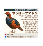 架空鳥空の生き物図鑑（個別スタンプ：2）