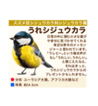架空鳥空の生き物図鑑（個別スタンプ：5）