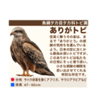 架空鳥空の生き物図鑑（個別スタンプ：6）