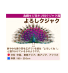 架空鳥空の生き物図鑑（個別スタンプ：8）