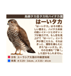 架空鳥空の生き物図鑑（個別スタンプ：12）