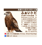 架空鳥空の生き物図鑑（個別スタンプ：13）
