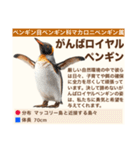 架空鳥空の生き物図鑑（個別スタンプ：14）