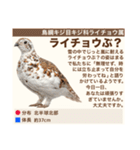 架空鳥空の生き物図鑑（個別スタンプ：15）