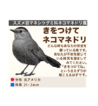 架空鳥空の生き物図鑑（個別スタンプ：16）