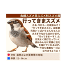 架空鳥空の生き物図鑑（個別スタンプ：17）