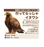 架空鳥空の生き物図鑑（個別スタンプ：18）