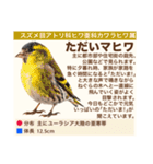 架空鳥空の生き物図鑑（個別スタンプ：19）