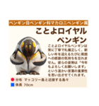 架空鳥空の生き物図鑑（個別スタンプ：24）