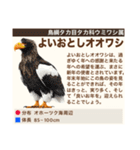 架空鳥空の生き物図鑑（個別スタンプ：25）