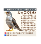 架空鳥空の生き物図鑑（個別スタンプ：28）