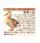 架空鳥空の生き物図鑑（個別スタンプ：29）